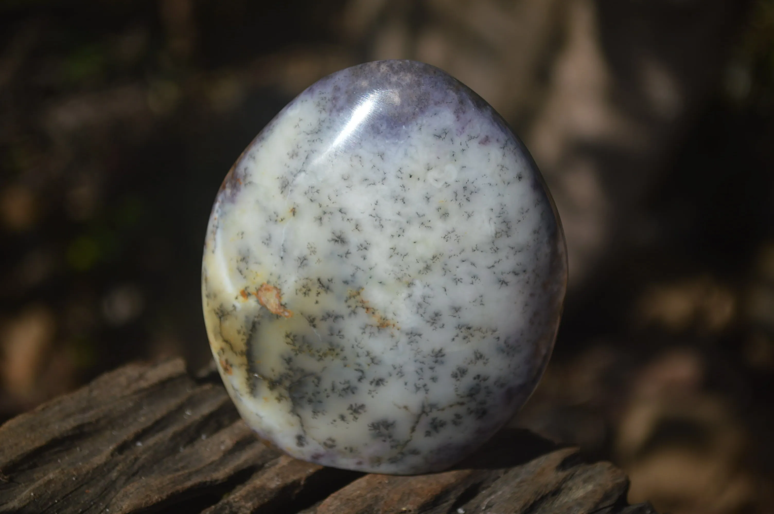 Polished Dendritic Standing Free Forms x 3 From Moralambo, Madagascar