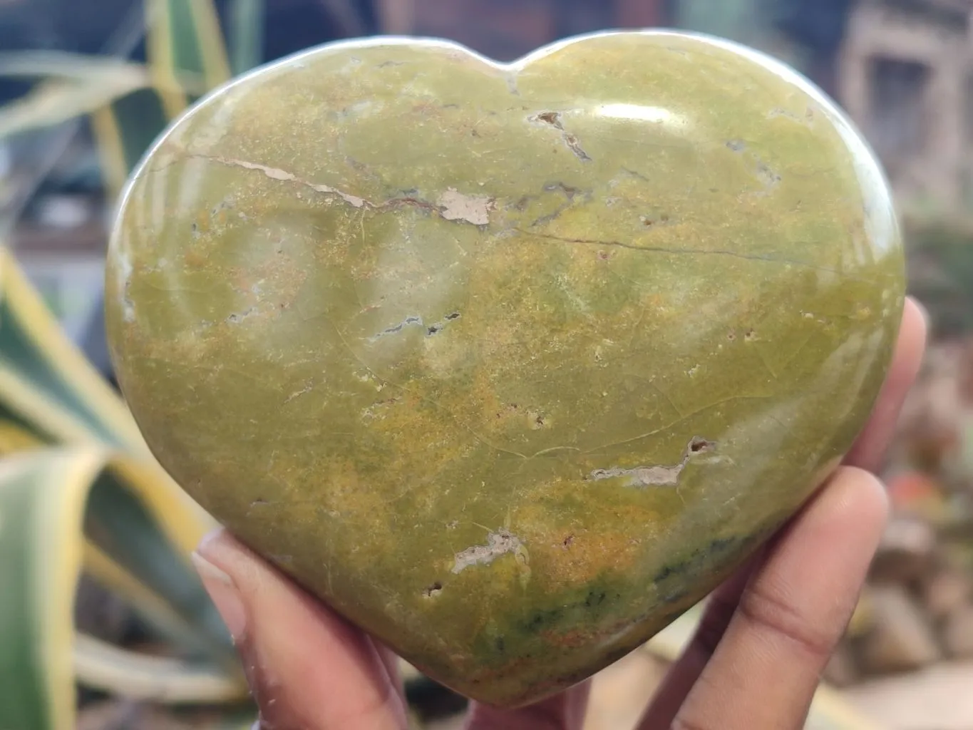 Polished Green Opal Hearts x 6 From Madagascar