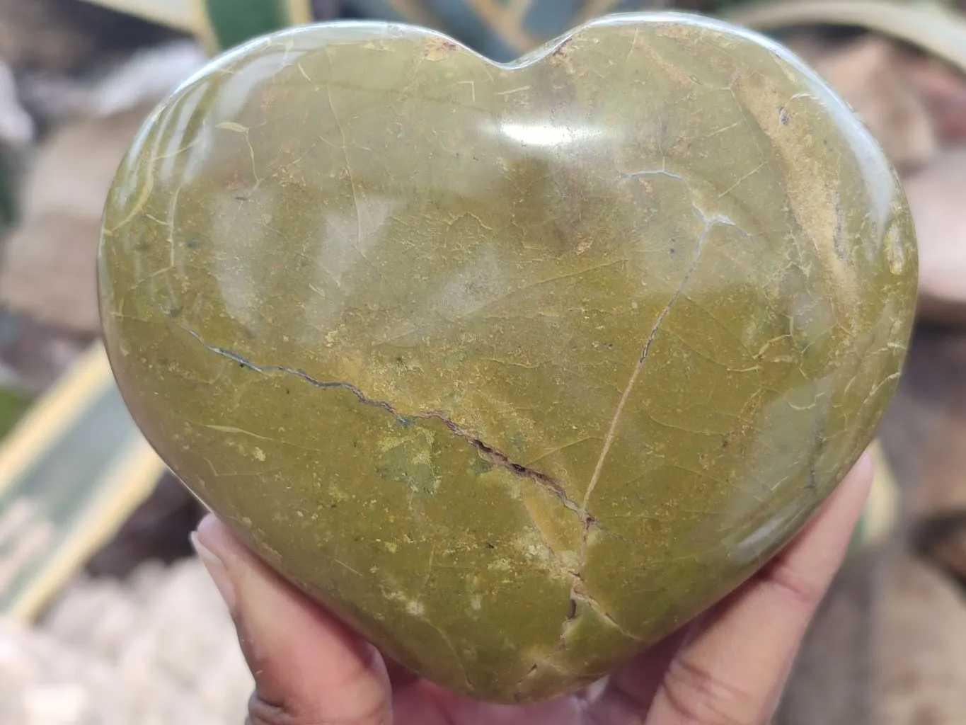 Polished Green Opal Hearts x 6 From Madagascar