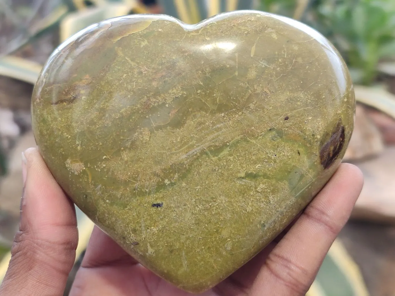 Polished Green Opal Hearts x 6 From Madagascar