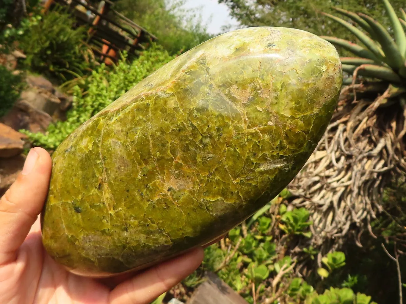 Polished Large Green Opal Standing Free Form x 1 From Madagascar