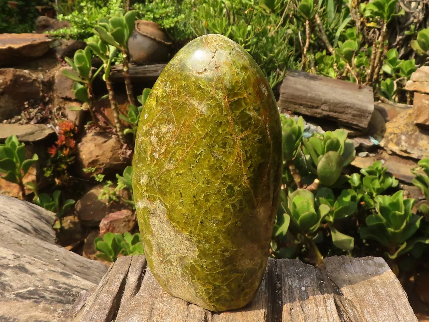 Polished Large Green Opal Standing Free Form x 1 From Madagascar