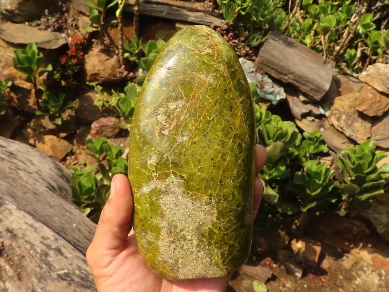 Polished Large Green Opal Standing Free Form x 1 From Madagascar