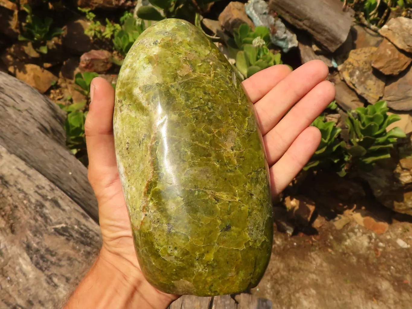 Polished Large Green Opal Standing Free Form x 1 From Madagascar