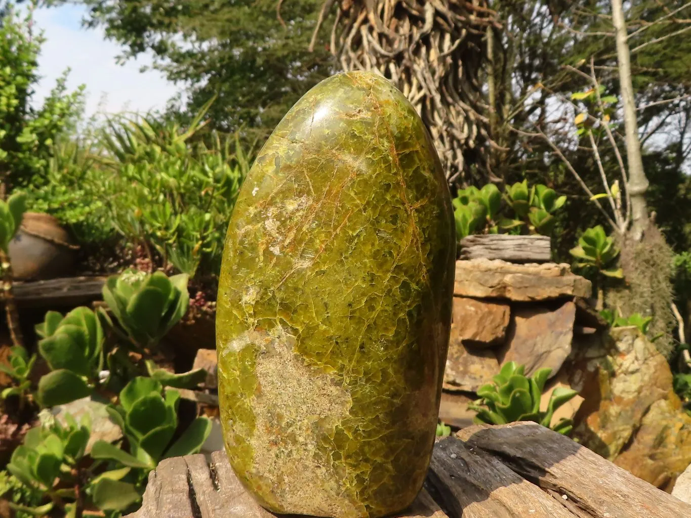 Polished Large Green Opal Standing Free Form x 1 From Madagascar