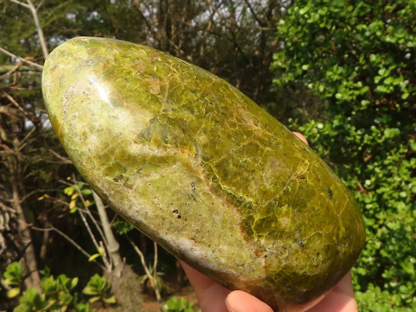 Polished Large Green Opal Standing Free Form x 1 From Madagascar